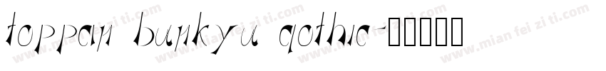 toppan bunkyu gothic字体转换